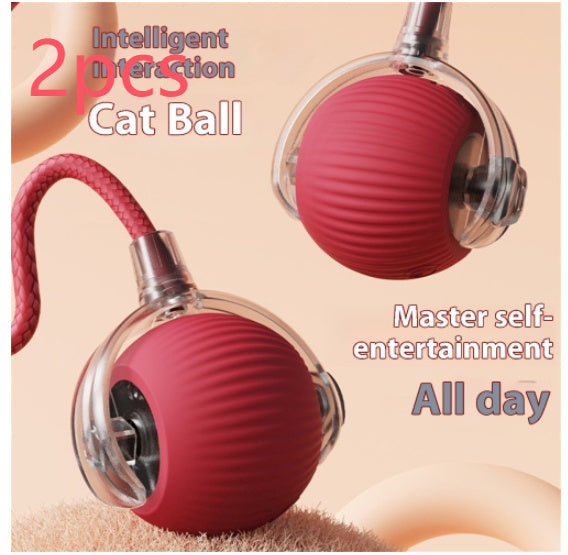 Electric Cat Automatic Rolling Ball