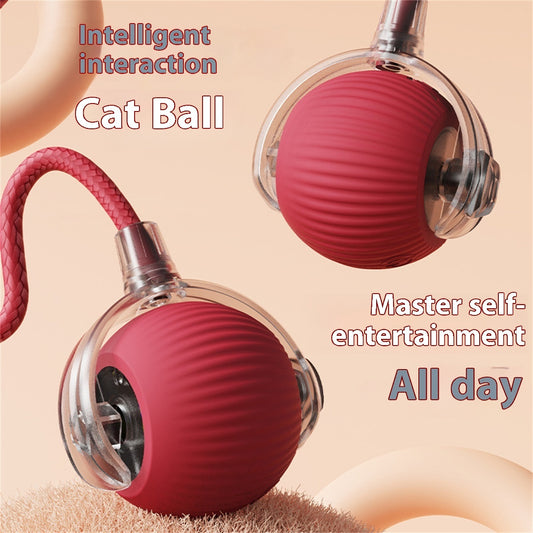 Electric Cat Automatic Rolling Ball