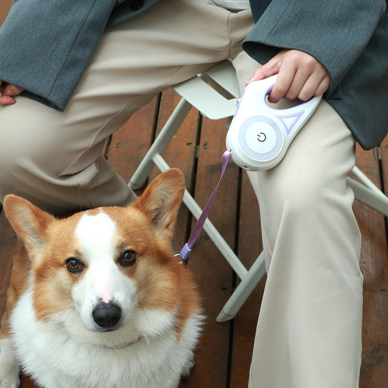 Retractable Automatic Spotlight Dog Leash Collar